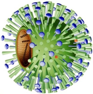 1-influenza-virus