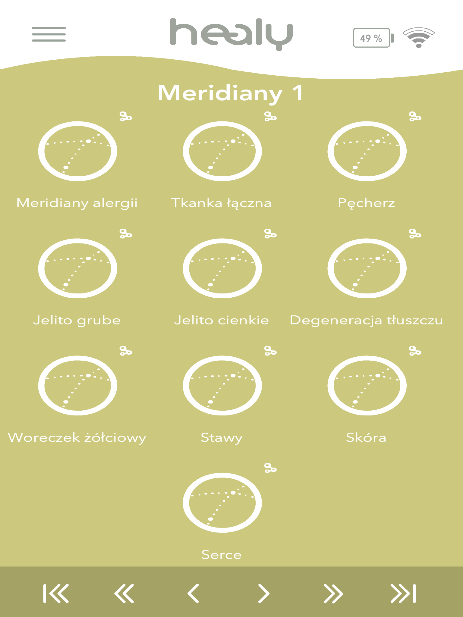 merydiany 1